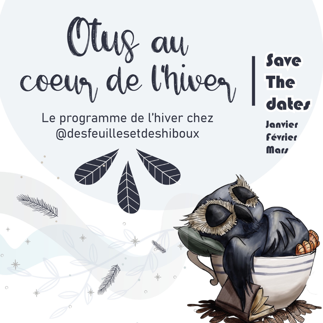 You are currently viewing Hiver 2024 – Les activités de Maitre Hibou
